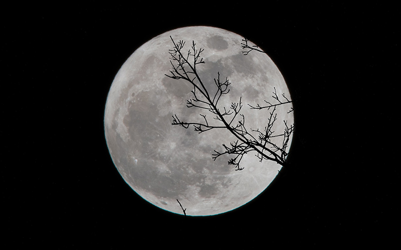 Луна в знаках Зодиака: значение и календарь