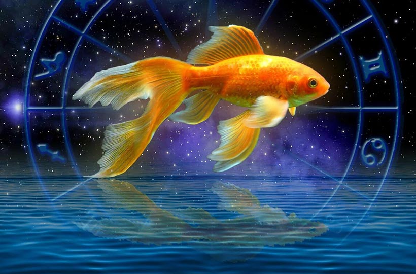 Самый полный гороскоп для Рыб на 2024 год