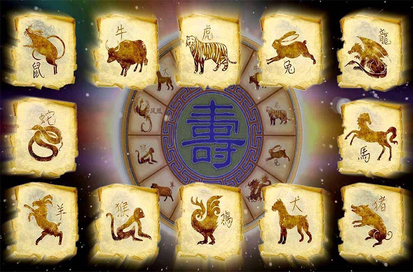 Китайские знаки зодиака по месяцам: как распределяются и на что влияют