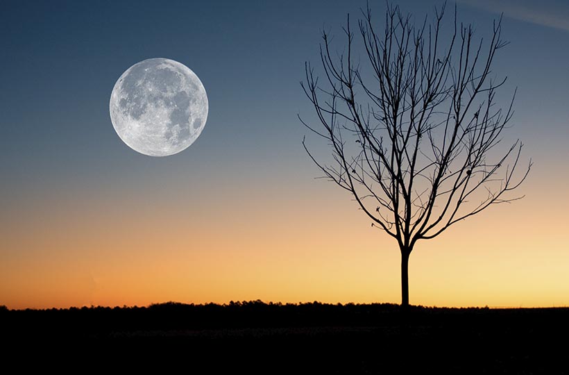 Характеристика и влияние 2 лунного дня