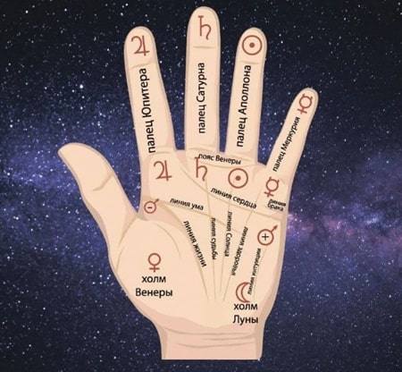 Значение форм пальцев на руках